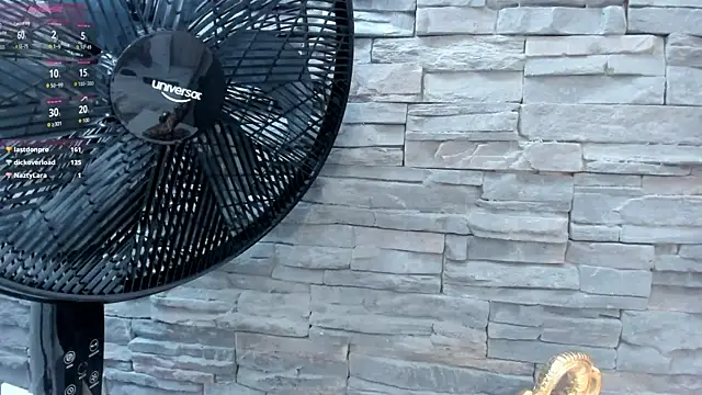 Doble_fantasia webcam