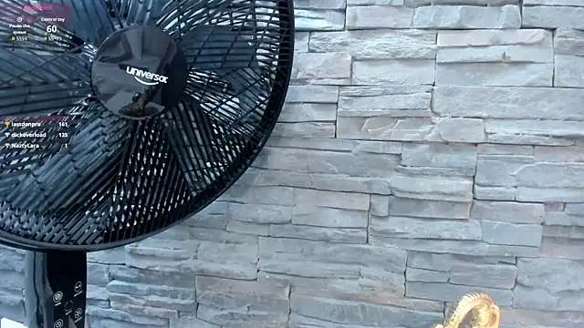 Doble_fantasia webcam