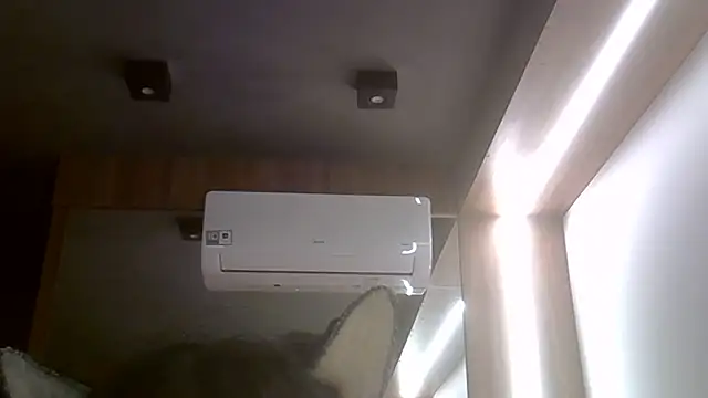 SkinnyKitten webcam