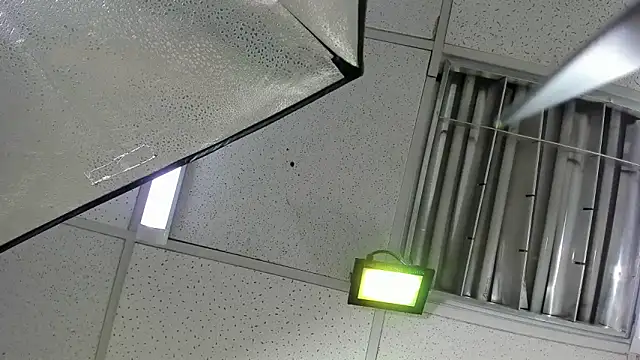 Aisha_hotts777 webcam