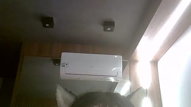 SkinnyKitten webcam