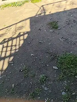 karandeep_Bhagat webcam