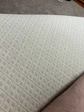 bigdickens69BWC webcam