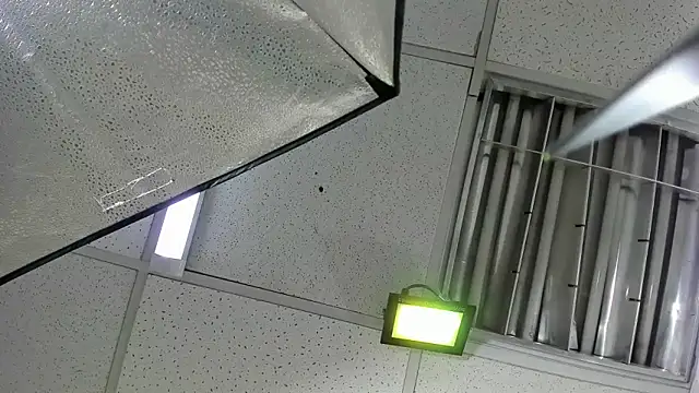 Aisha_hotts777 webcam