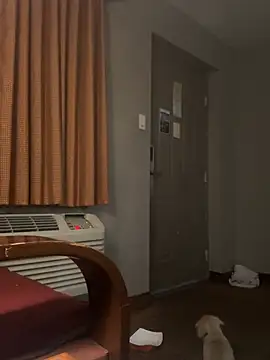 Stressreliever82 webcam