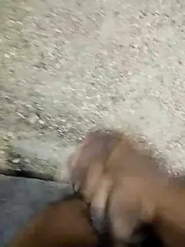 spittermasterpig1 webcam