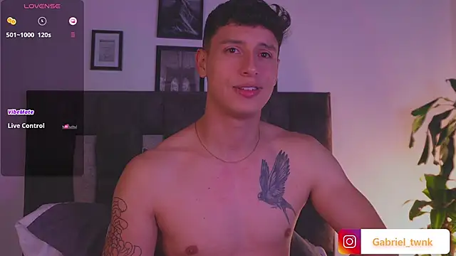 I_Gabriel webcam