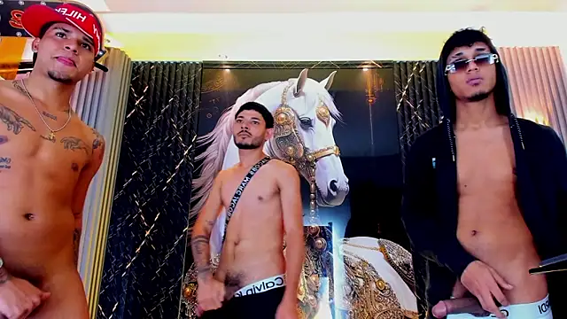 the_knights_of_the_night_ webcam