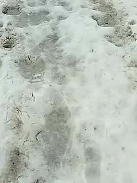 _uncle_Mitya-43_ webcam