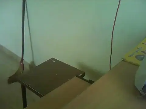 Vickyins480000 webcam