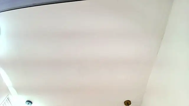 Rose_and_Aslan webcam