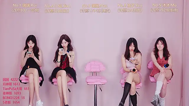 美女VIVA-002在线直播