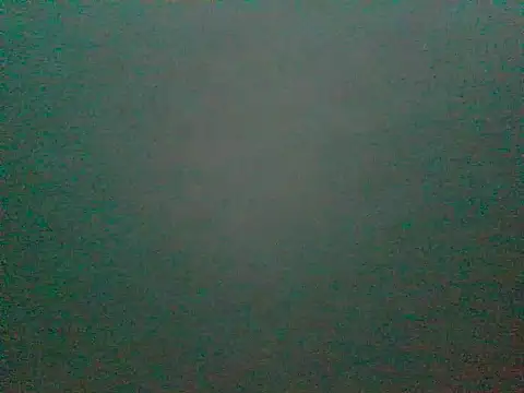 DesireMelissa webcam