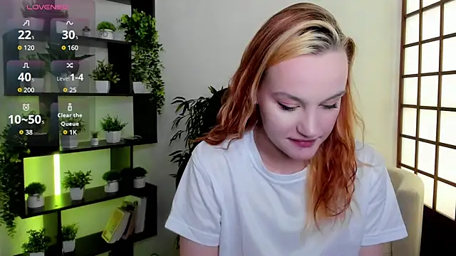 Ida_FaneStain webcam