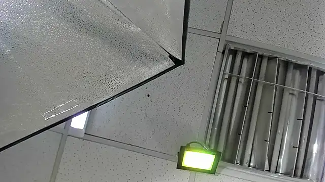 Aisha_hotts777 webcam