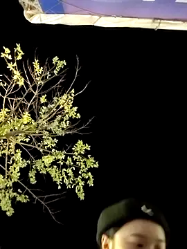 美女CCAV217在线直播