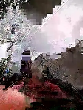 Brenda_Berck_ webcam