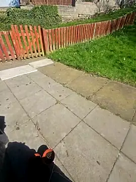 AfghanPrincess webcam