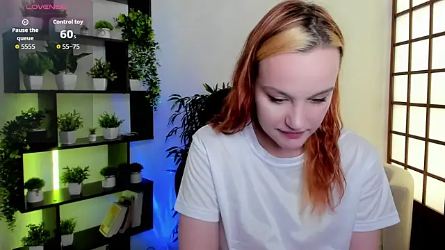 Ida_FaneStain webcam