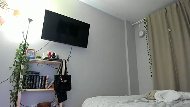 wwow_meow webcam