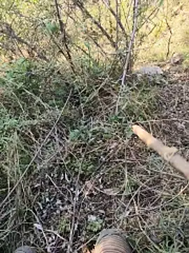 karandeep_Bhagat webcam