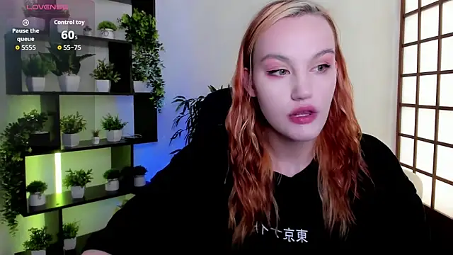 Ida_FaneStain webcam