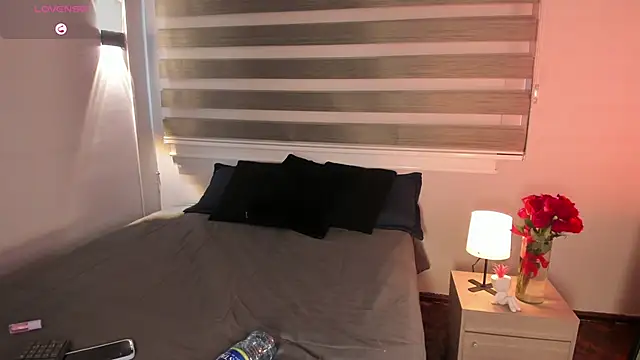 MERIDA_TAYLOR webcam