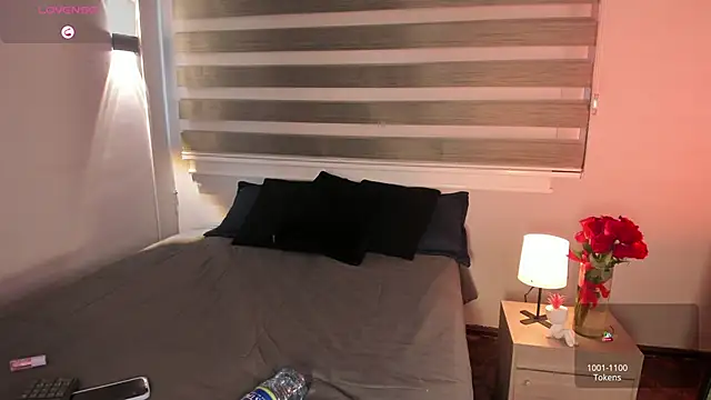 MERIDA_TAYLOR webcam