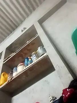 Shreya_pandit webcam