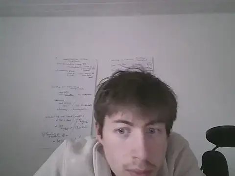 VelvetRagottiOG webcam