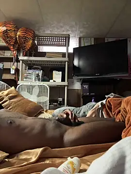 ProveYourLoyalty2 webcam