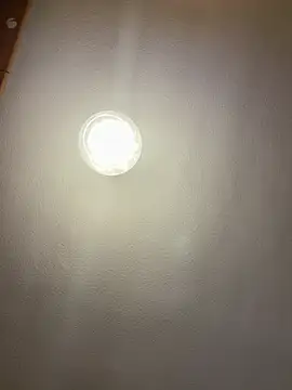 daniniescobarr webcam