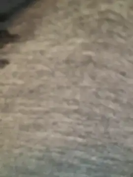 didihairypussy's room