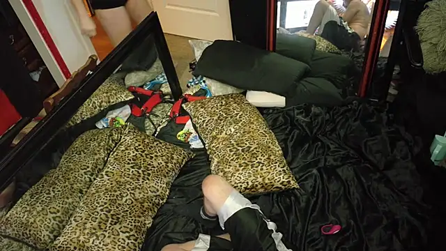 Preview of aquickphyx