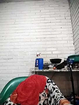 valeriaswang_Lucas webcam