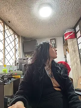 SALOME_KORLAND webcam