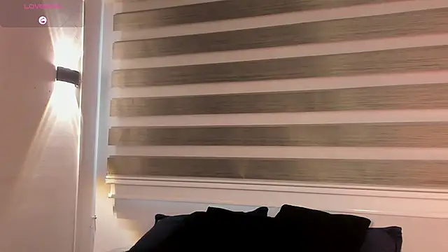 MERIDA_TAYLOR webcam