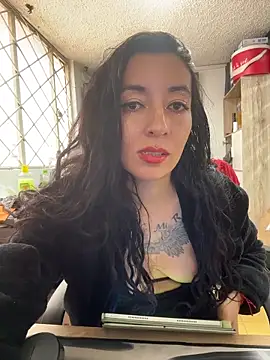 SALOME_KORLAND webcam