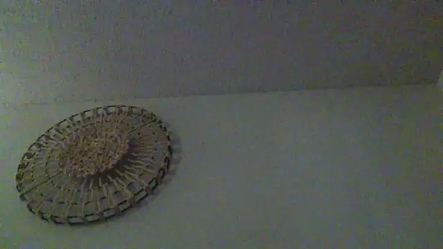 KungFuPanda001 webcam