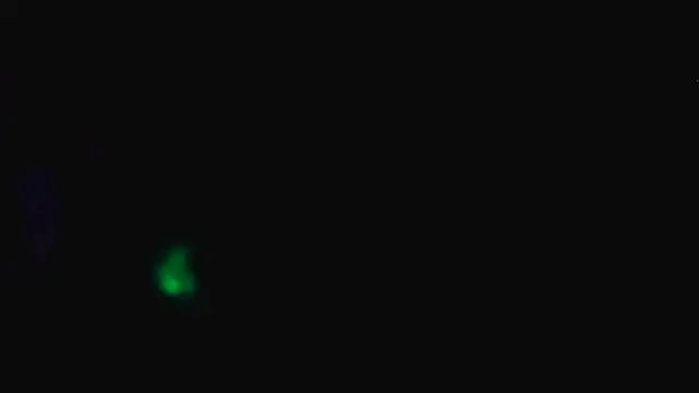 JessicaSissySlut69 webcam