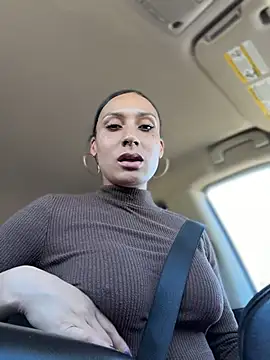 FerrariFrench webcam