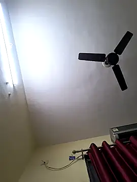 rajstrip12650 webcam