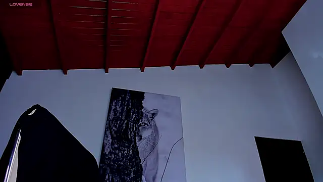 Santos_ramirez1 webcam