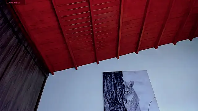 Santos_ramirez1 webcam