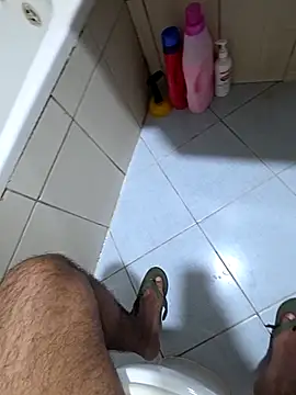 dream_catcher webcam