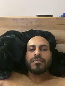 islandvybee55 webcam