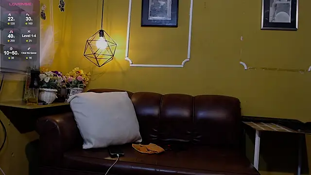 AmericaMillan_ds webcam