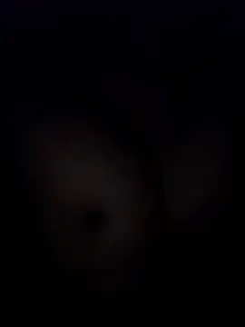 RajaDarling26 webcam