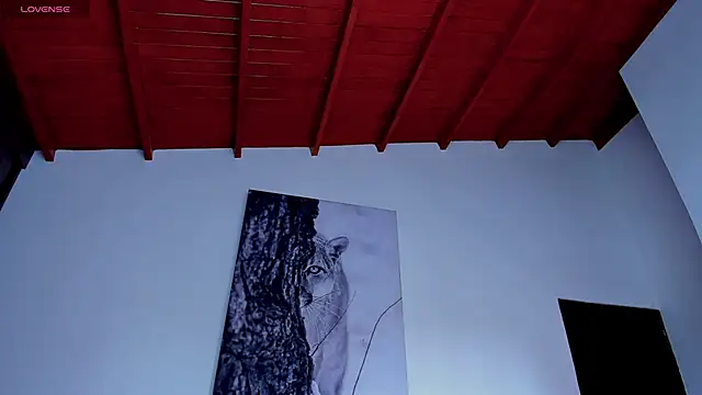 Santos_ramirez1 webcam