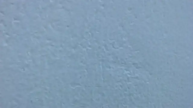 carolina_zabala_19 webcam